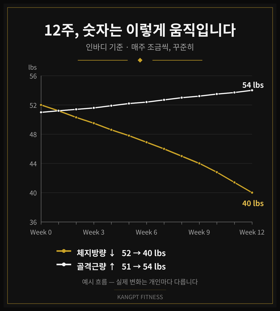Example 12-week trend chart: body fat trending down from 52 to 40 lbs while skeletal muscle rises from 51 to 54 lbs, week by week · 12주 변화 곡선 예시